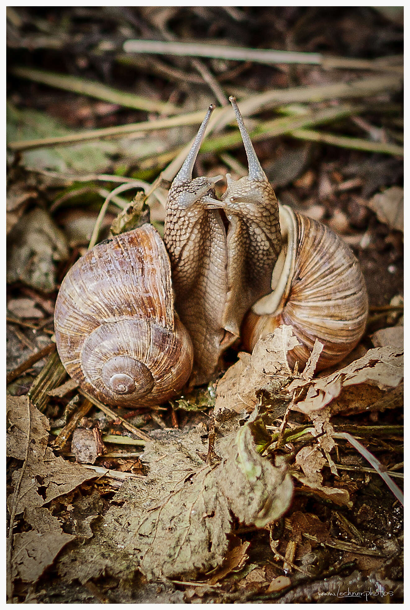 20130623 094655 IMG 0002 Bearbeitet