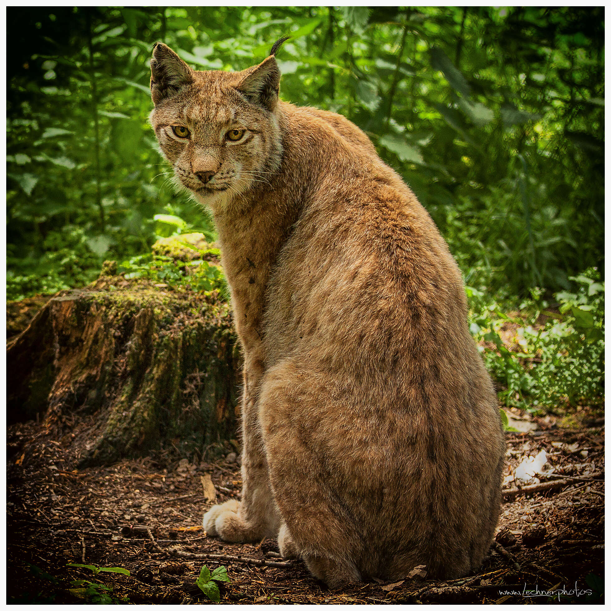 20160521 121734 IMG 0144 Bearbeitet