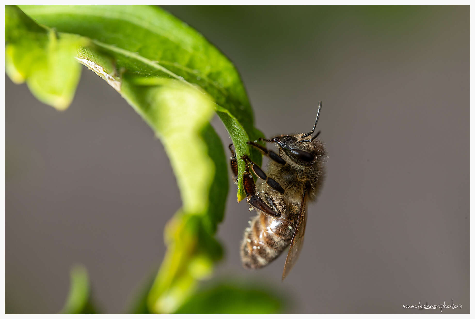 20180715 150942 949A0760