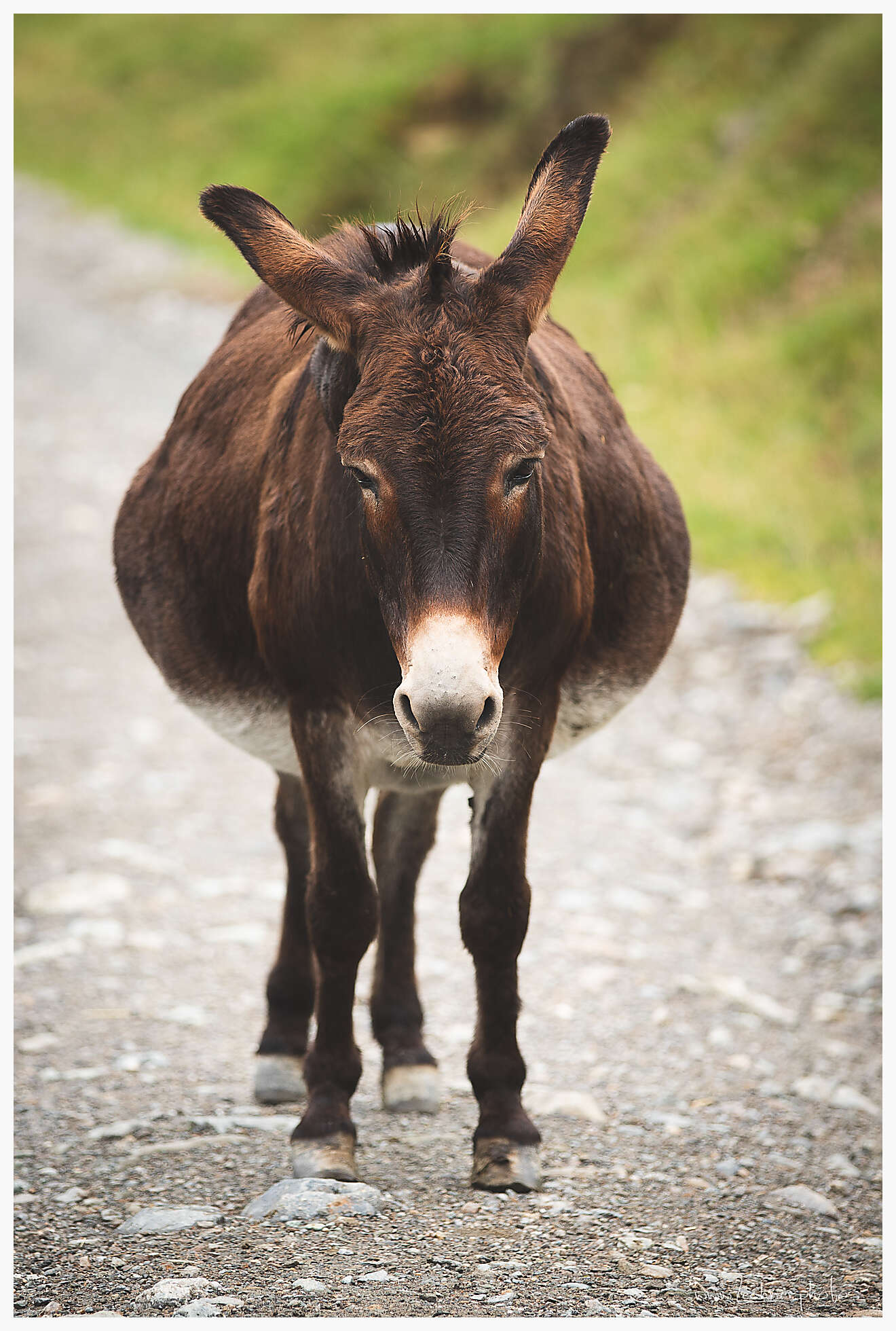 20180907 145052 949A1443