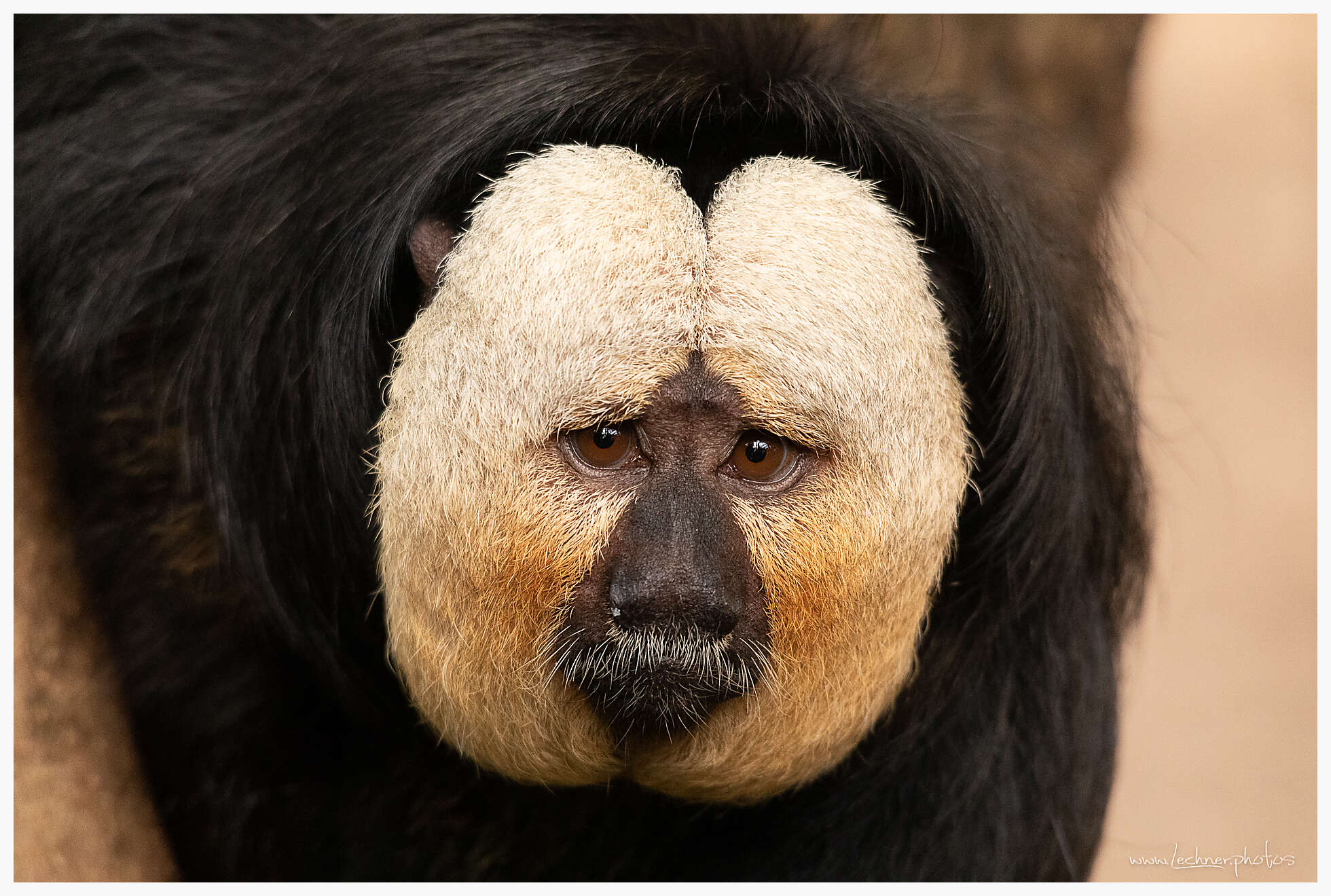 20190216 150654  49A4578