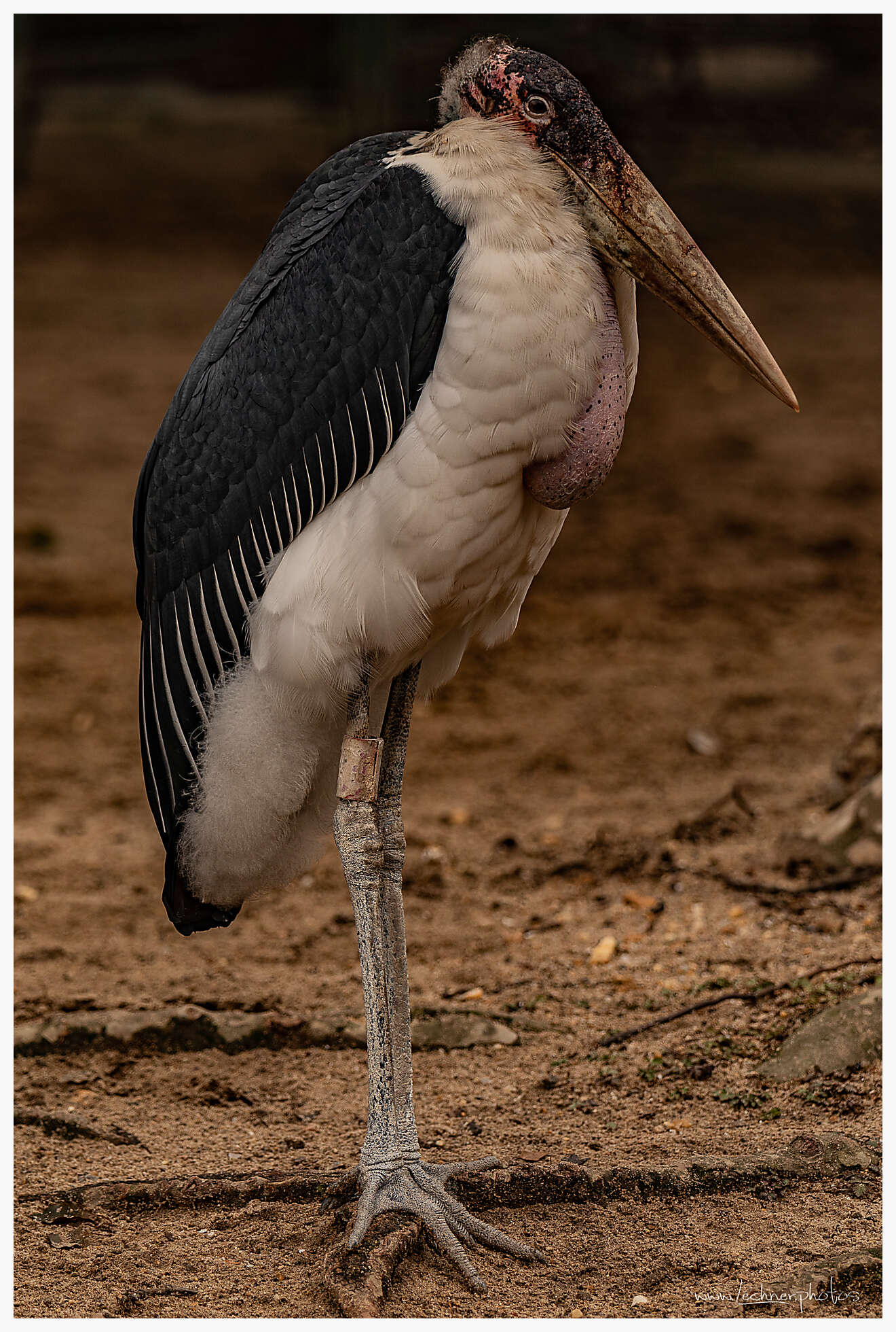 20210124 11 15 02  49A2686