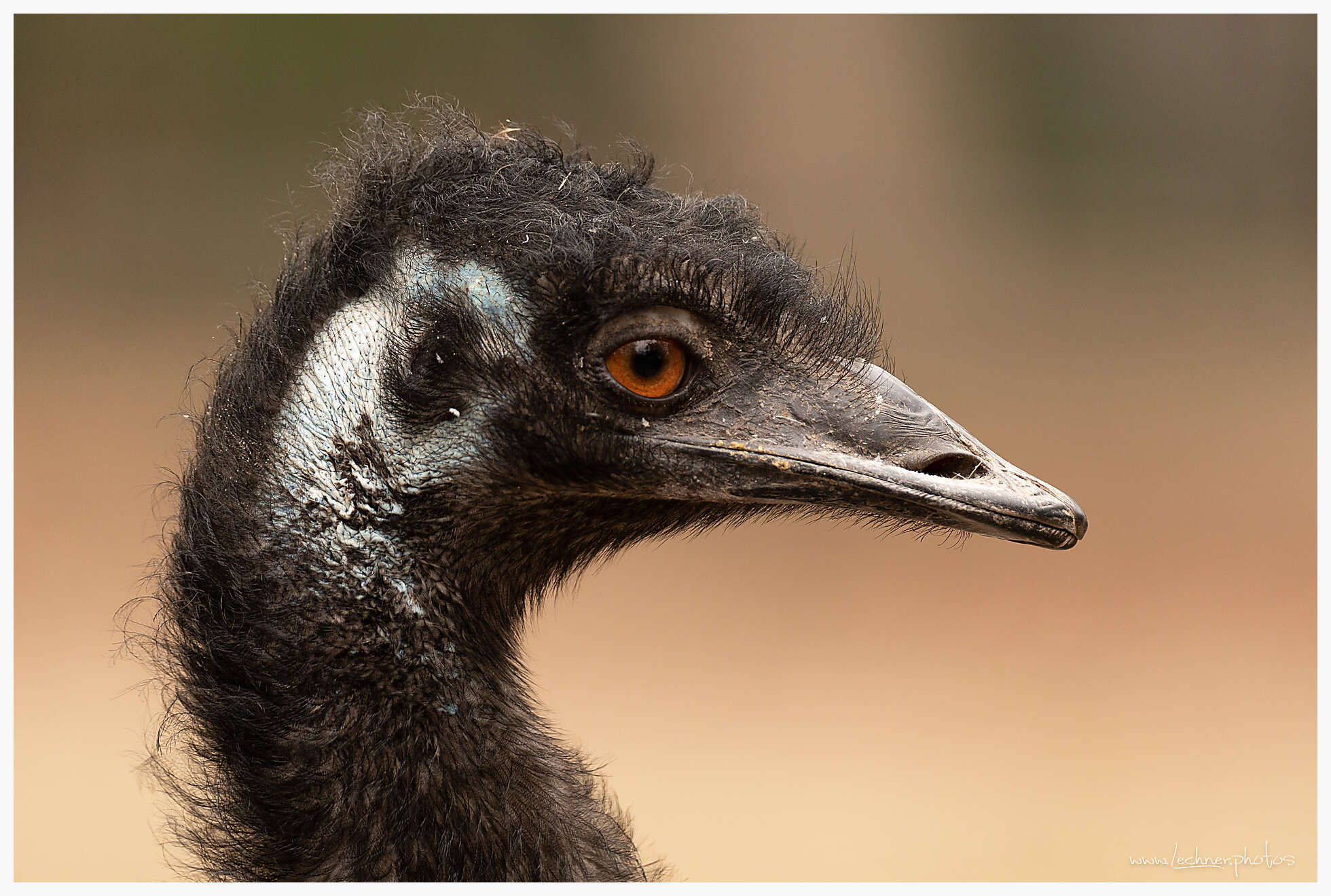 20210124 11 18 00  49A2719