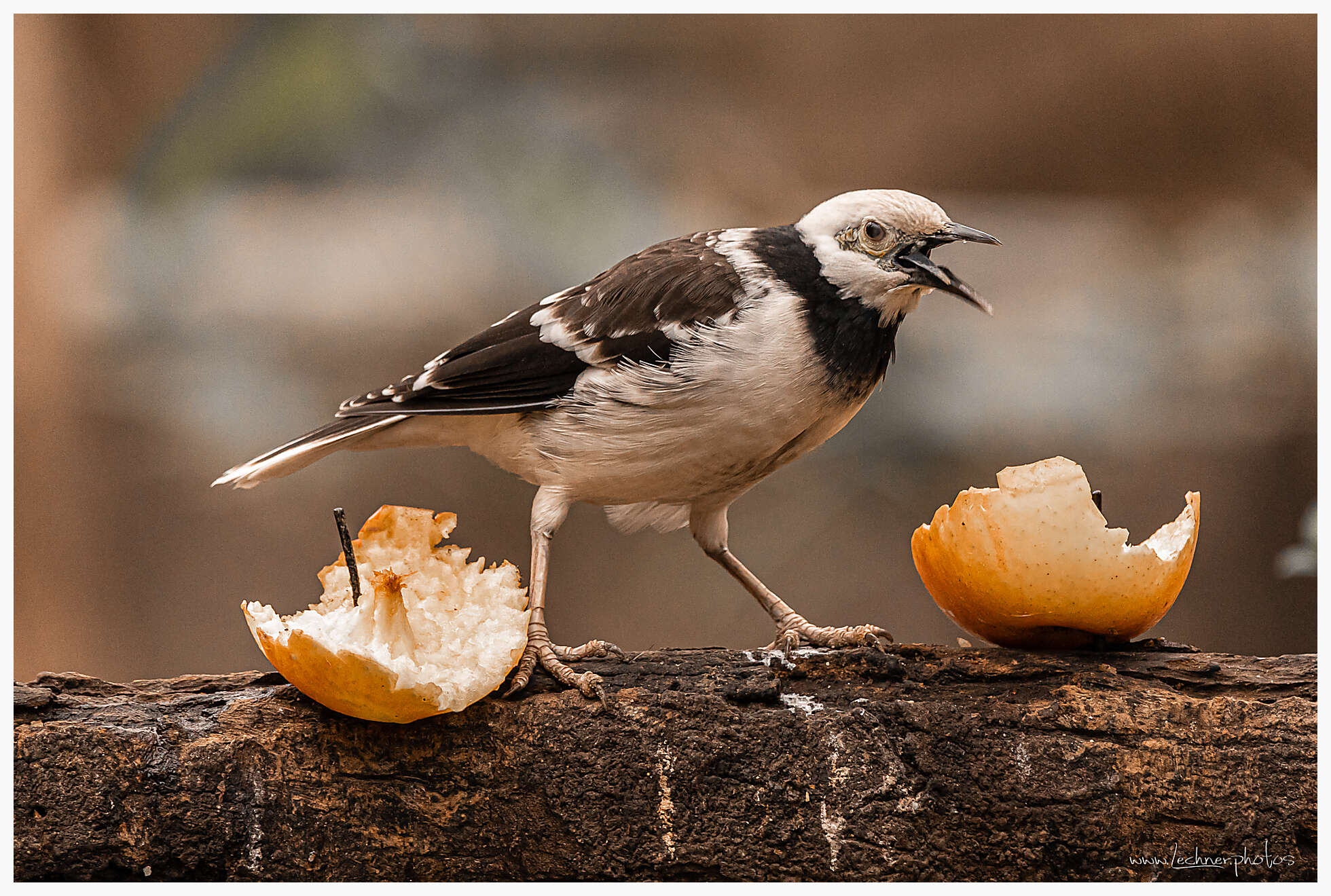 20210124 11 22 31  49A2769