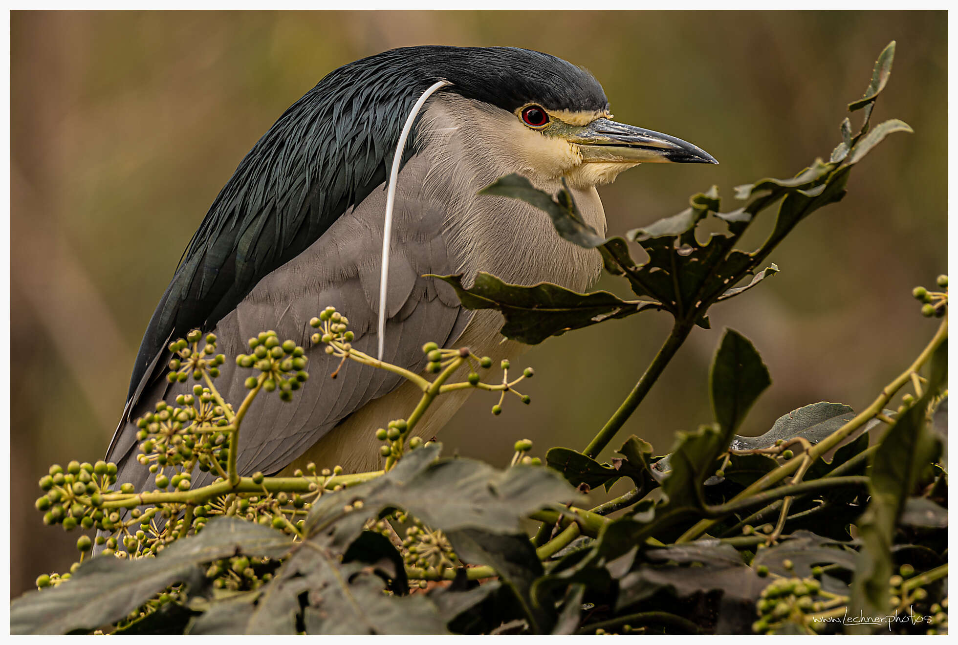 20210124 11 53 22  49A2916