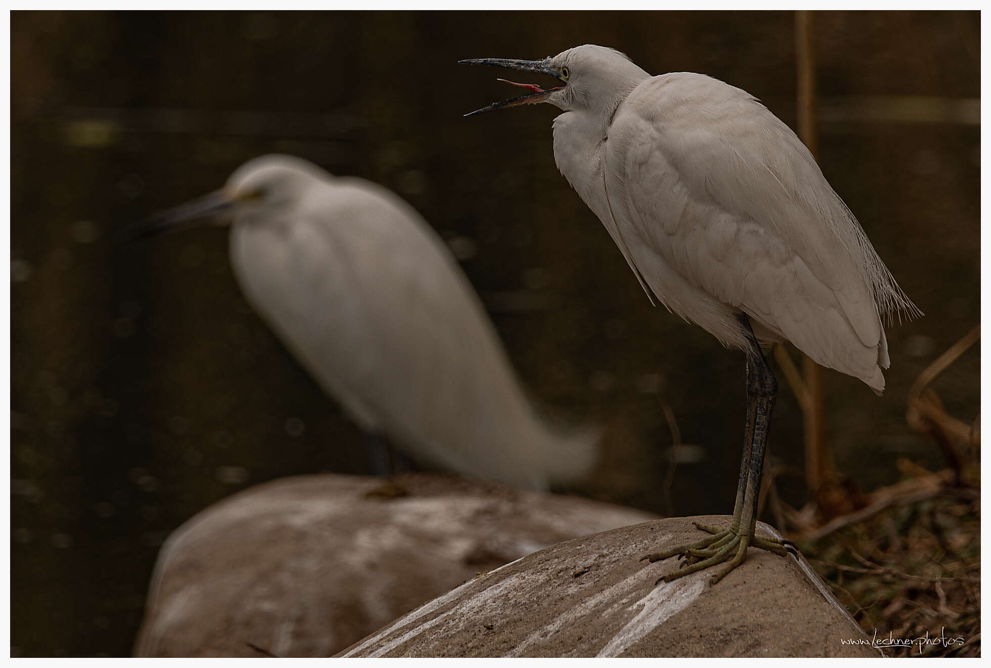 20210124 12 23 27  49A3181