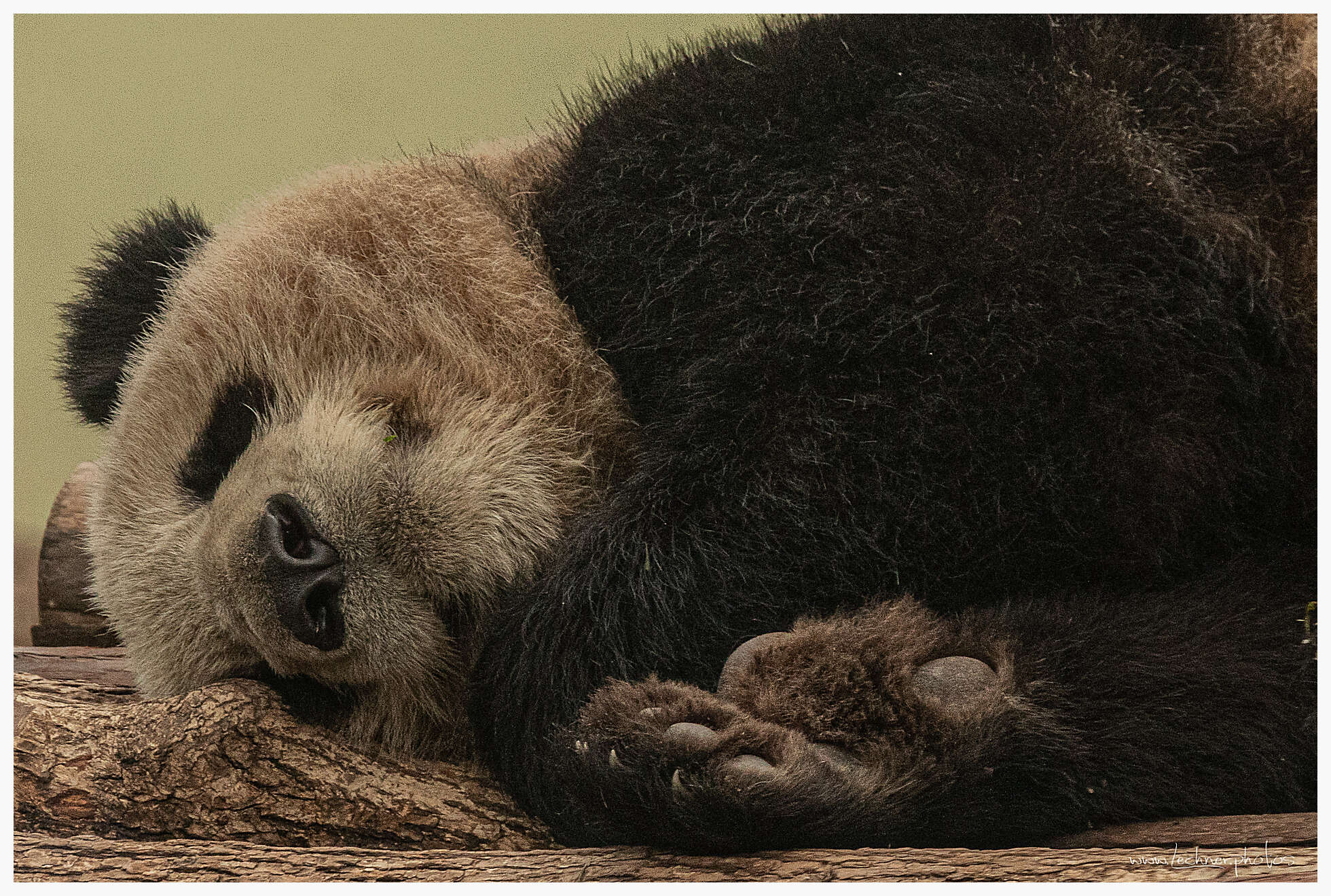 20210124 12 48 16  49A3349