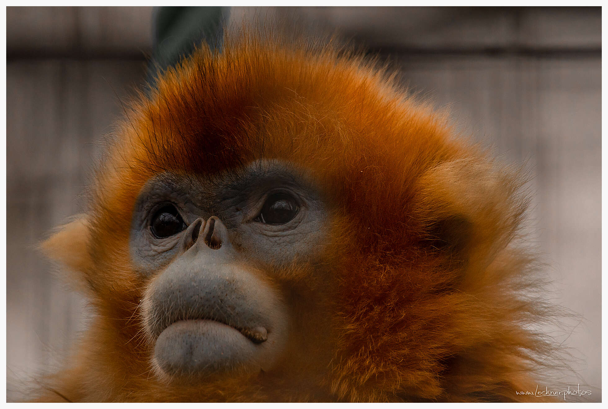 20210124 13 23 37  49A3584