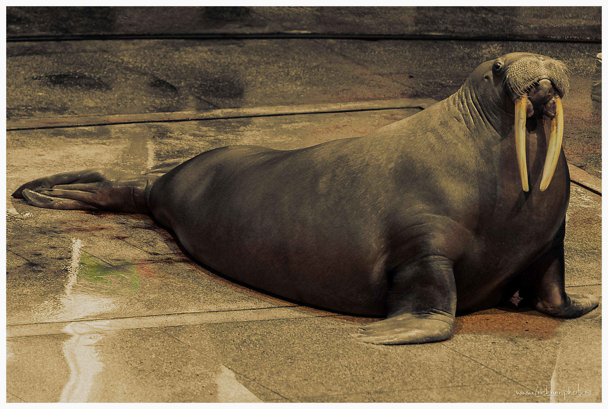 20210130 14 23 23  49A4431