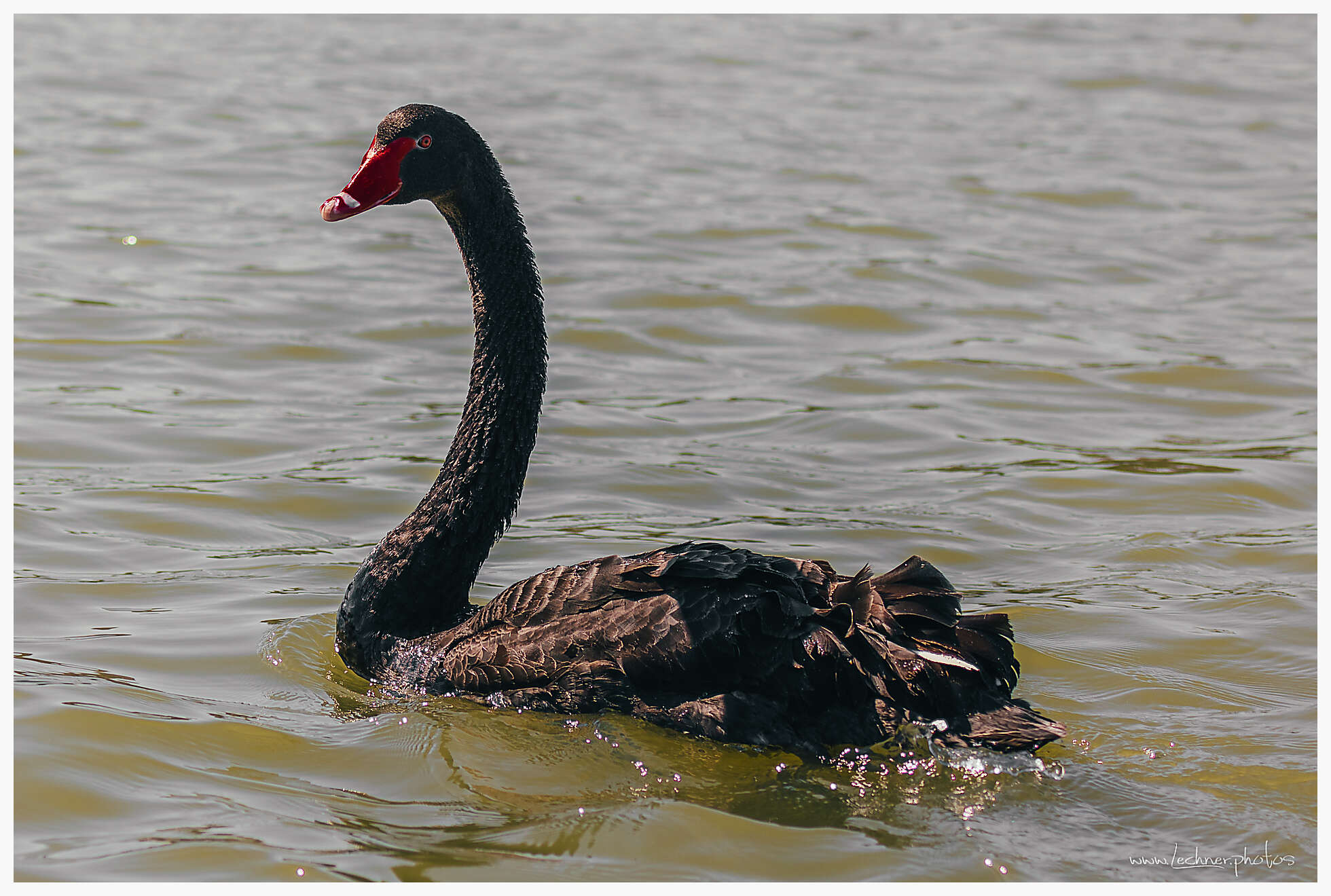 20210221 10 50 43  49A6550