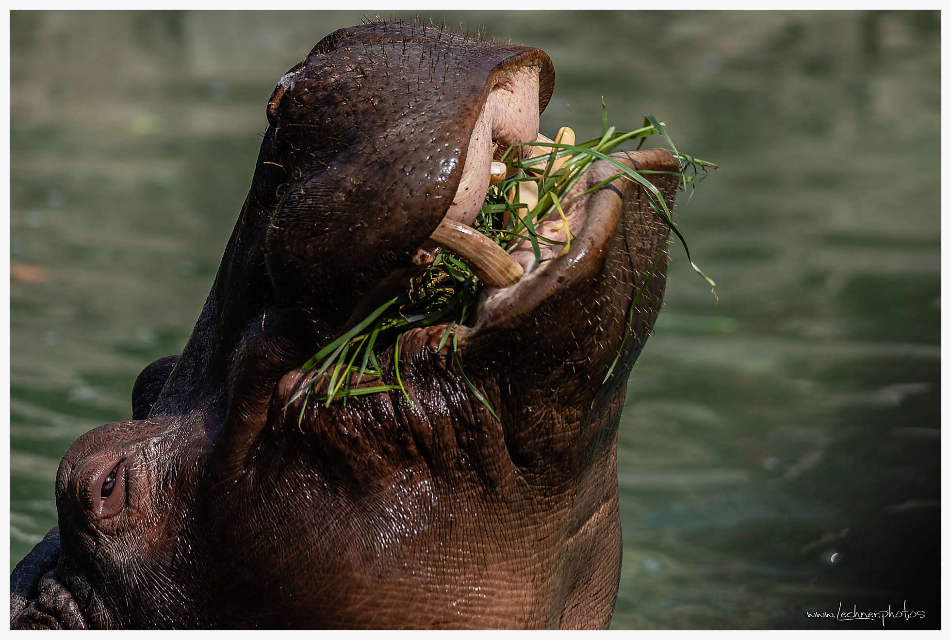 20210221 12 13 08  49A6791