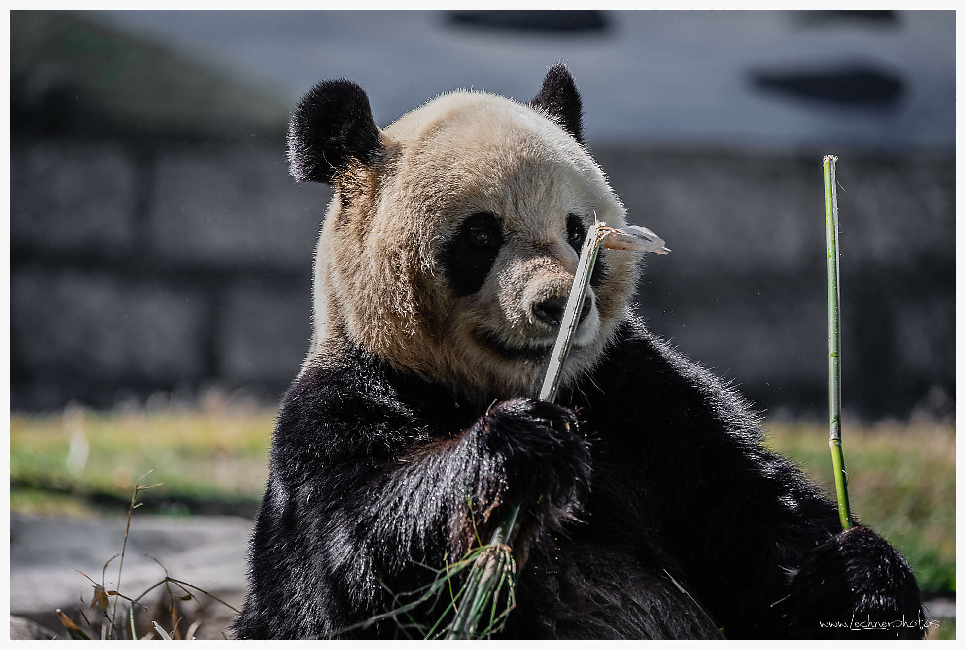 20210221 12 48 48  49A7144