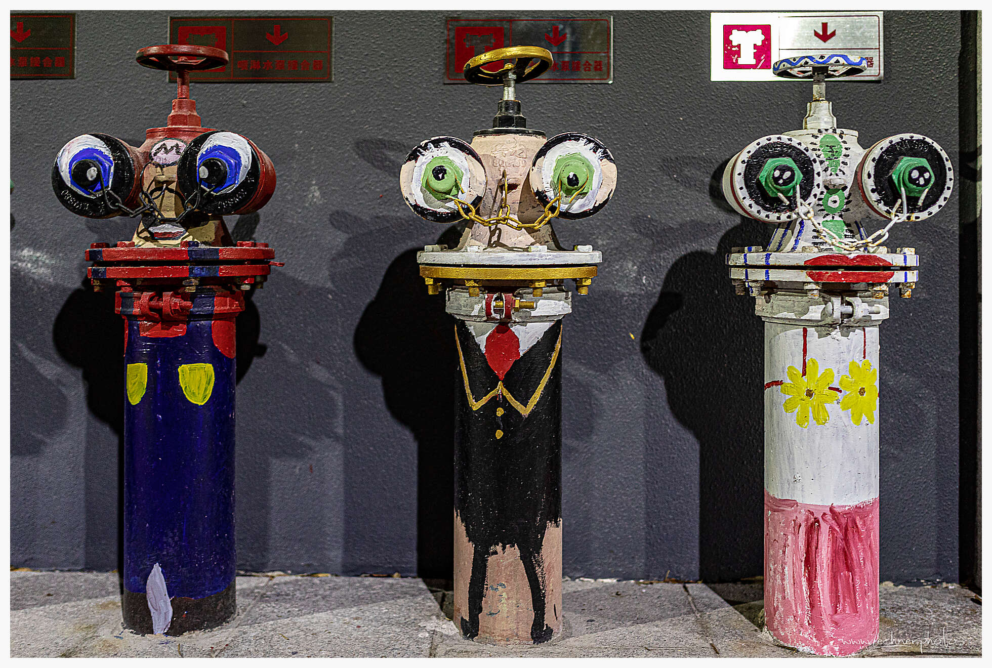 20190703 145954  49A7670