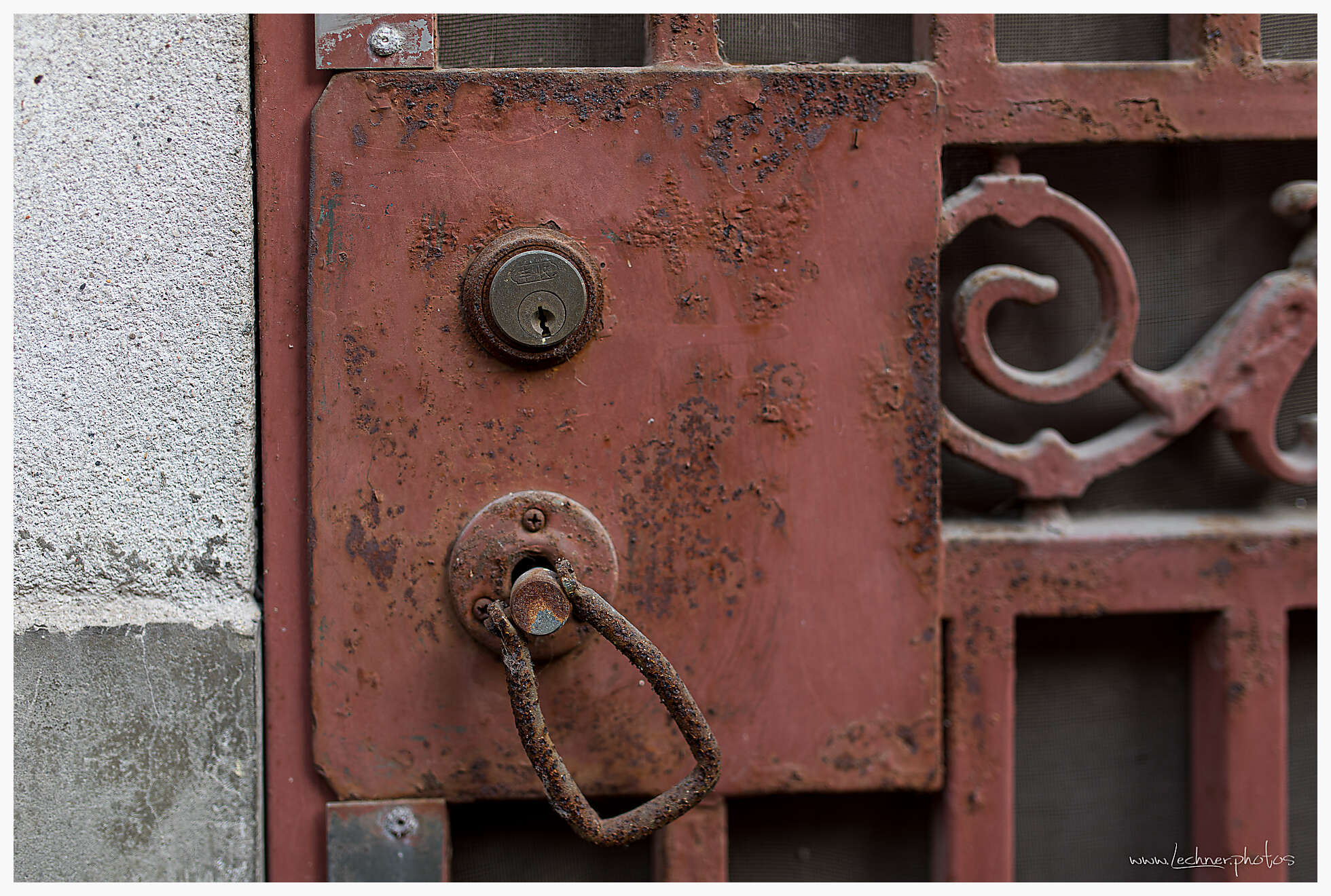 20200315 082638  49A4768