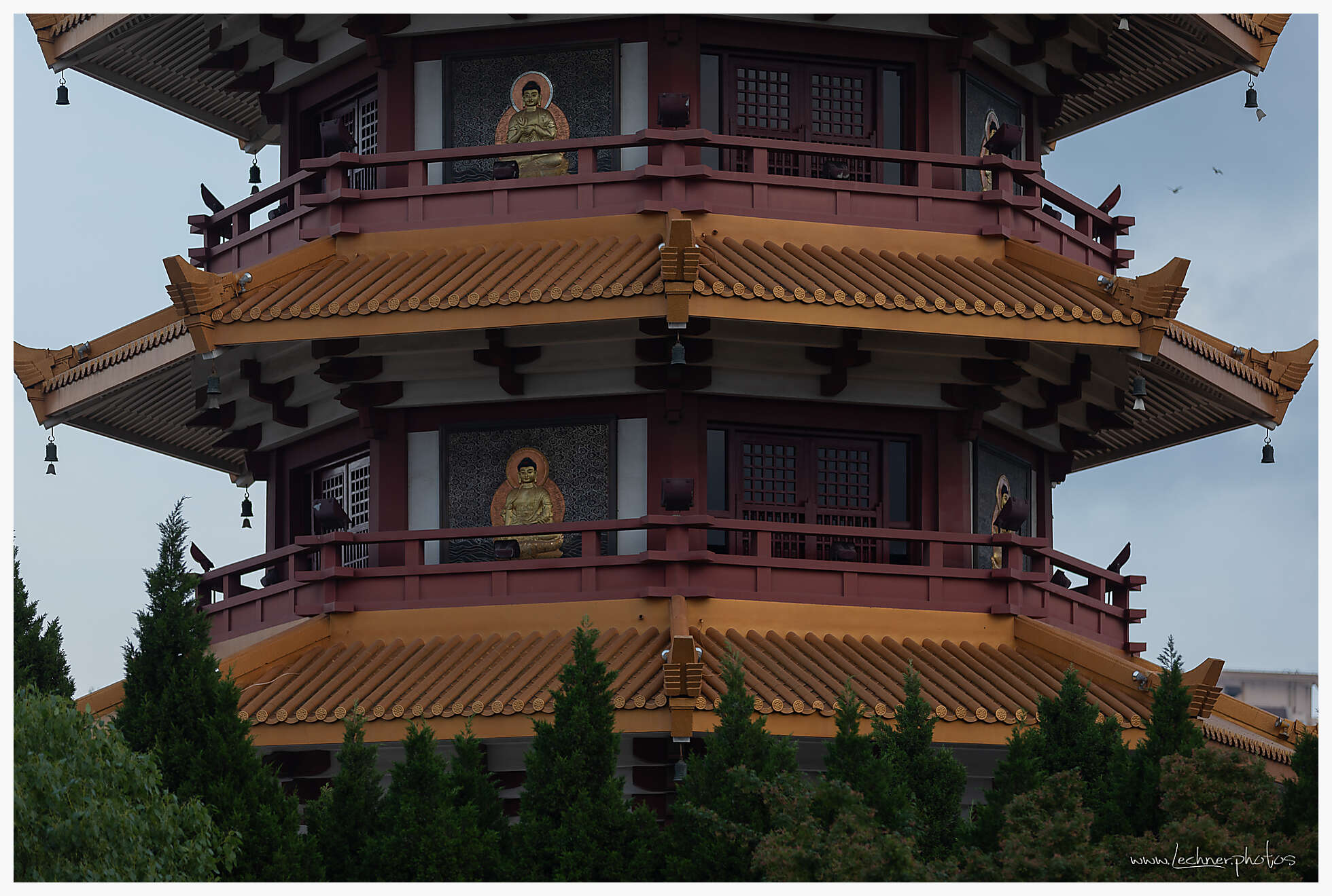 20200607 062029  49A6764