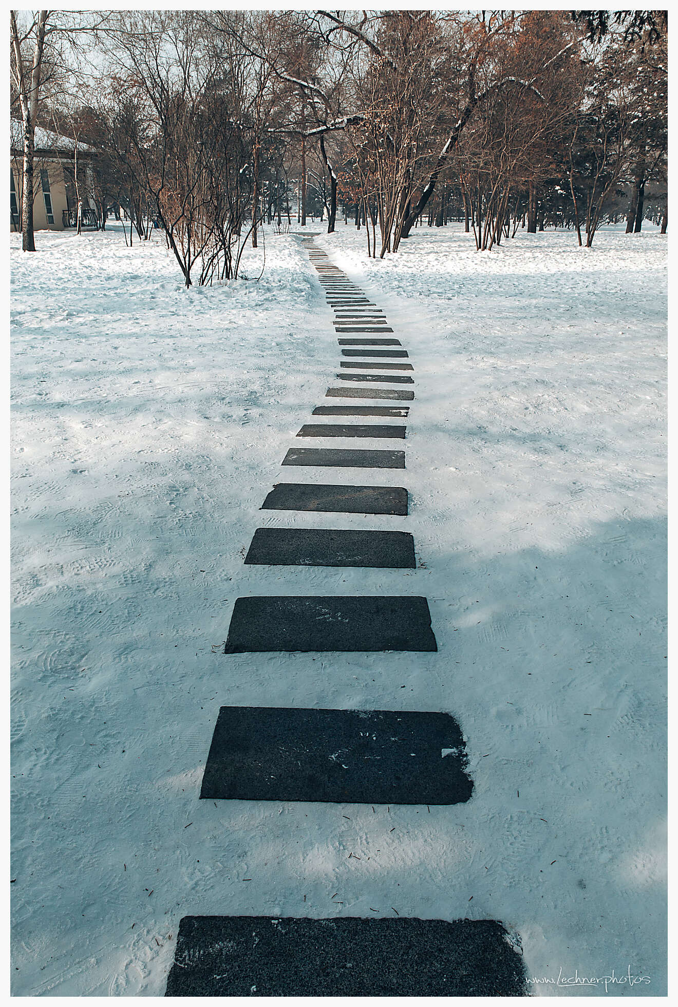 20200118 105737  49A3203