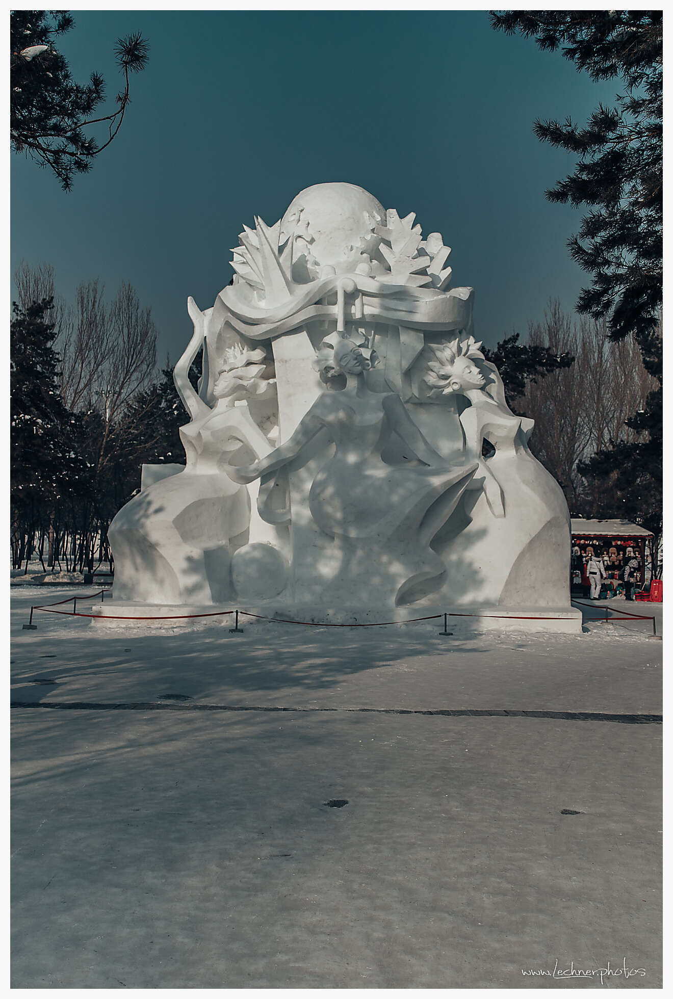 20200118 105915  49A3210