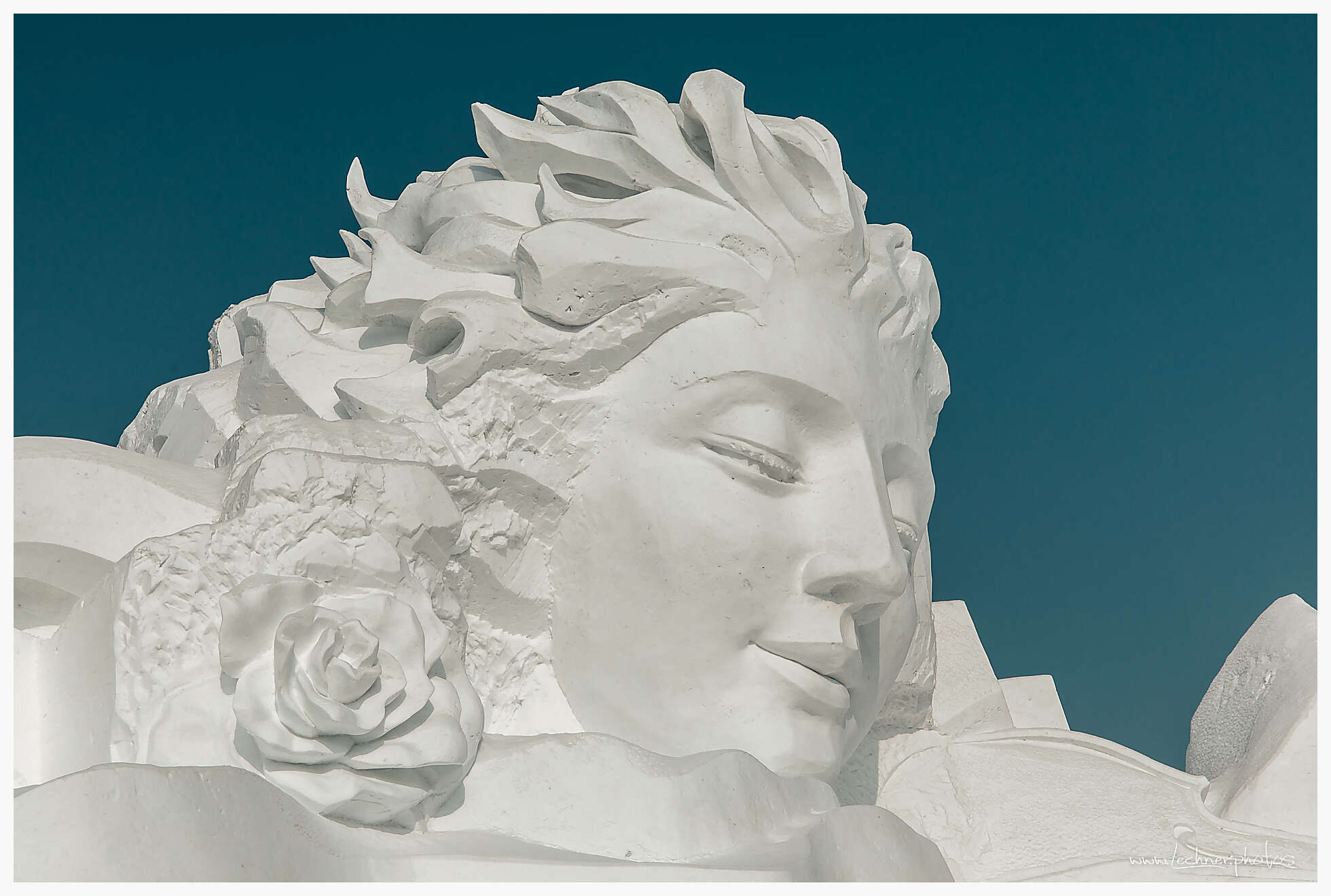 20200118 110508  49A3223