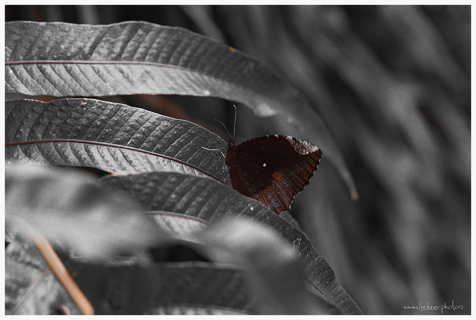 20201218 11 58 46  49A2100