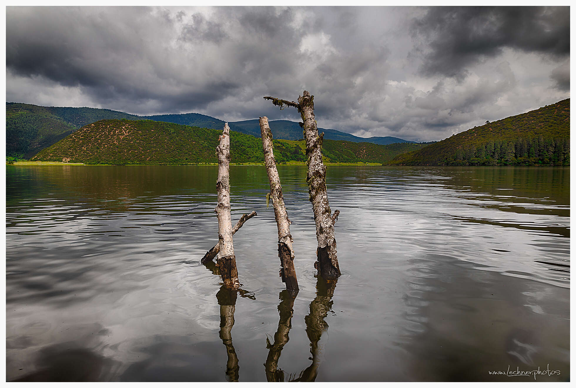 20200807 111631  49A9252 HDR Bearbeitet Bearbeitet