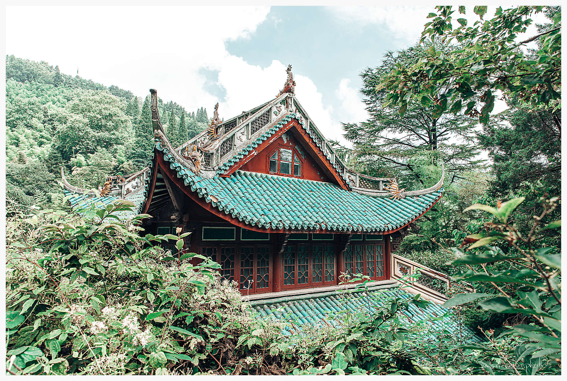 20190805 044323  49A7914