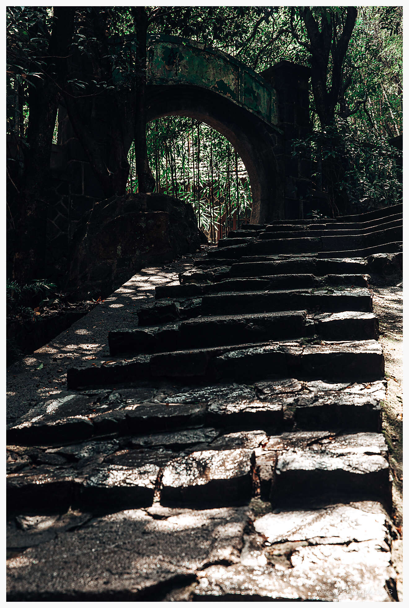 20190805 044606  49A7922