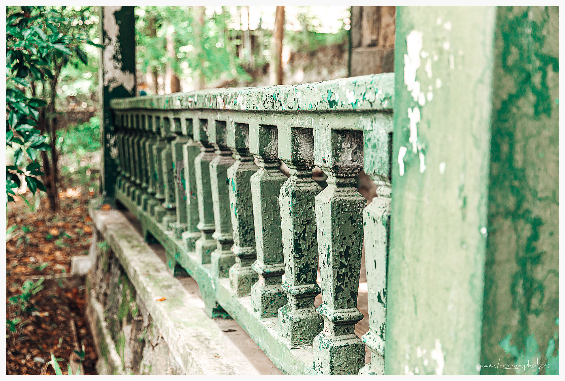 20190805 045528  49A7948