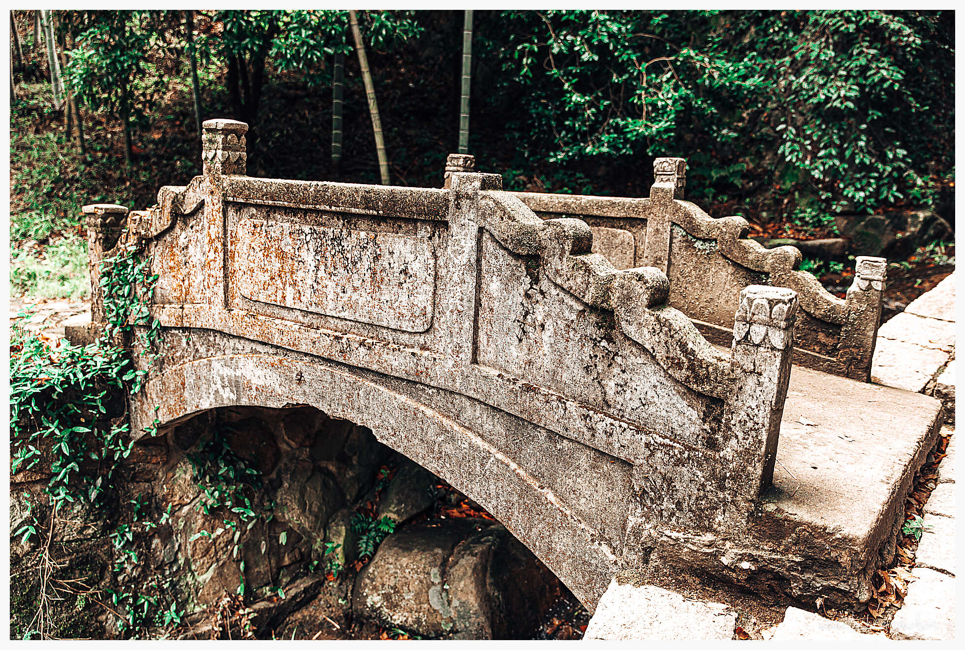 20190805 045907  49A7954