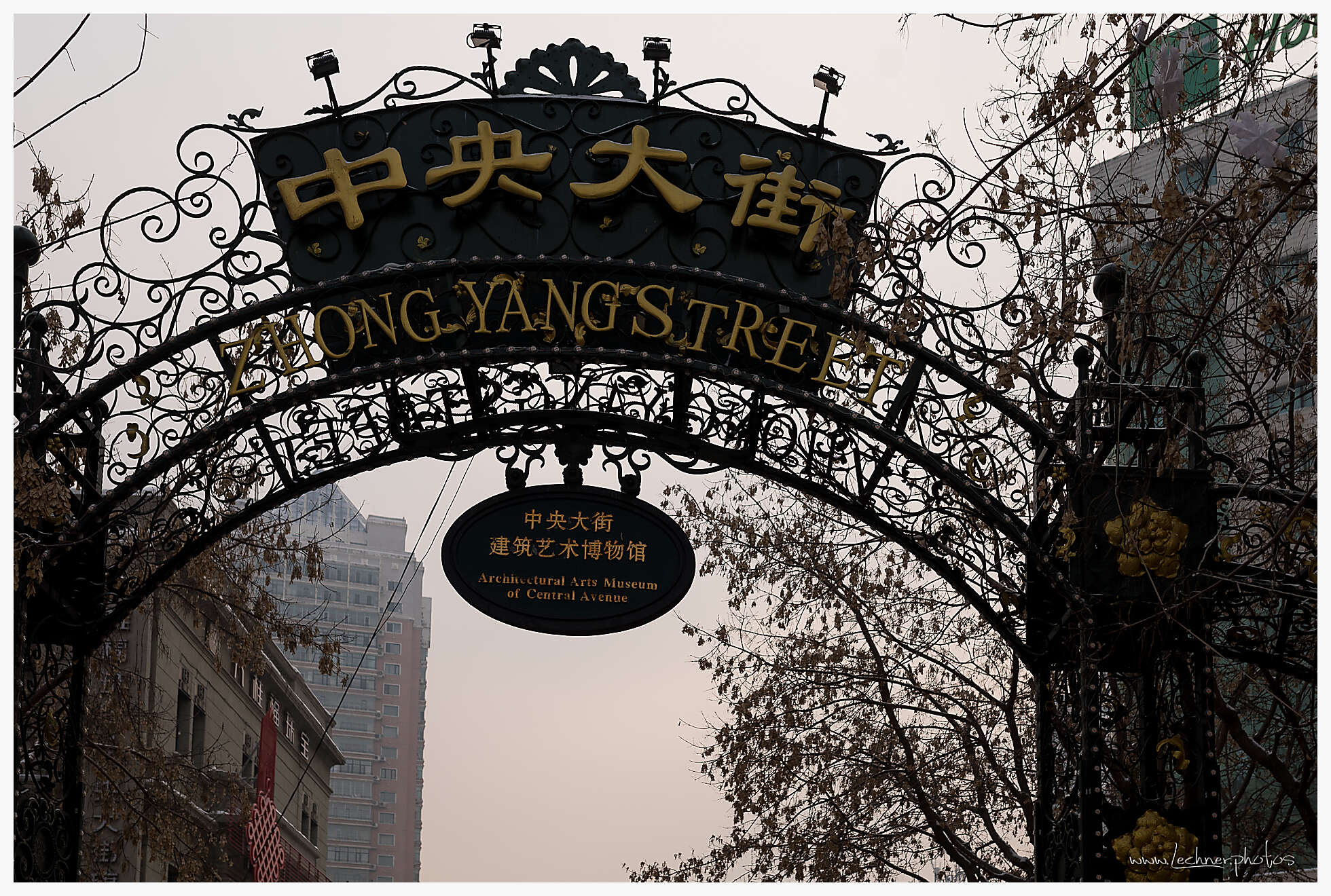 20200119 124953  49A4039